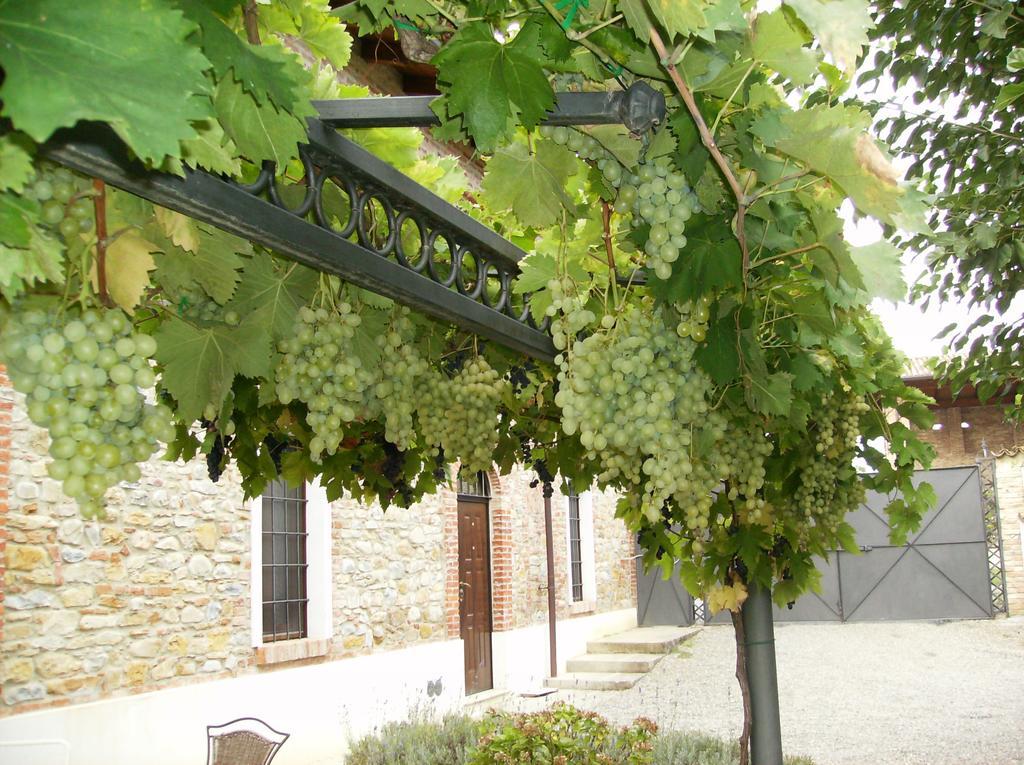 סליצ'ה טרמה Agriturismo Casa Garello מראה חיצוני תמונה